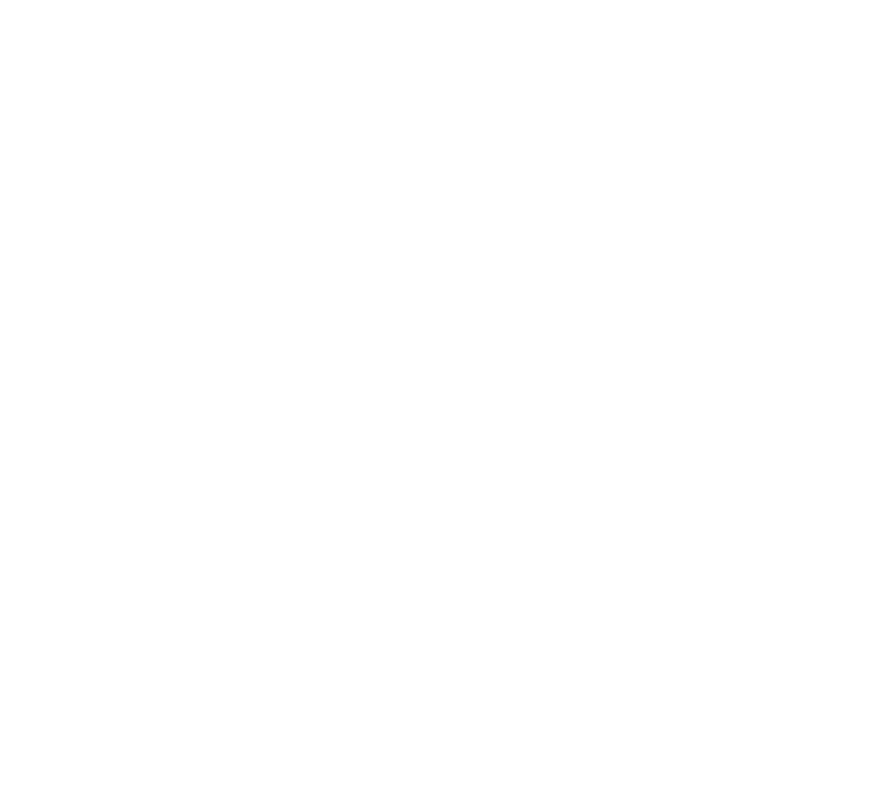 Fish N Fry white logo